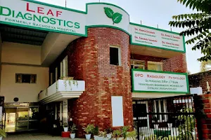 Leaf Diagnostics ( Sachdeva Hospital) image