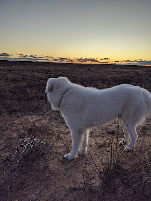 Oasis State Park - photo 80