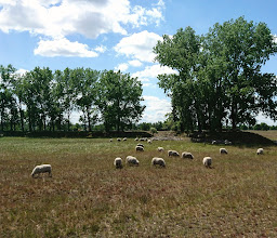 Landschaftspark Johannisthal/Adlershof photo