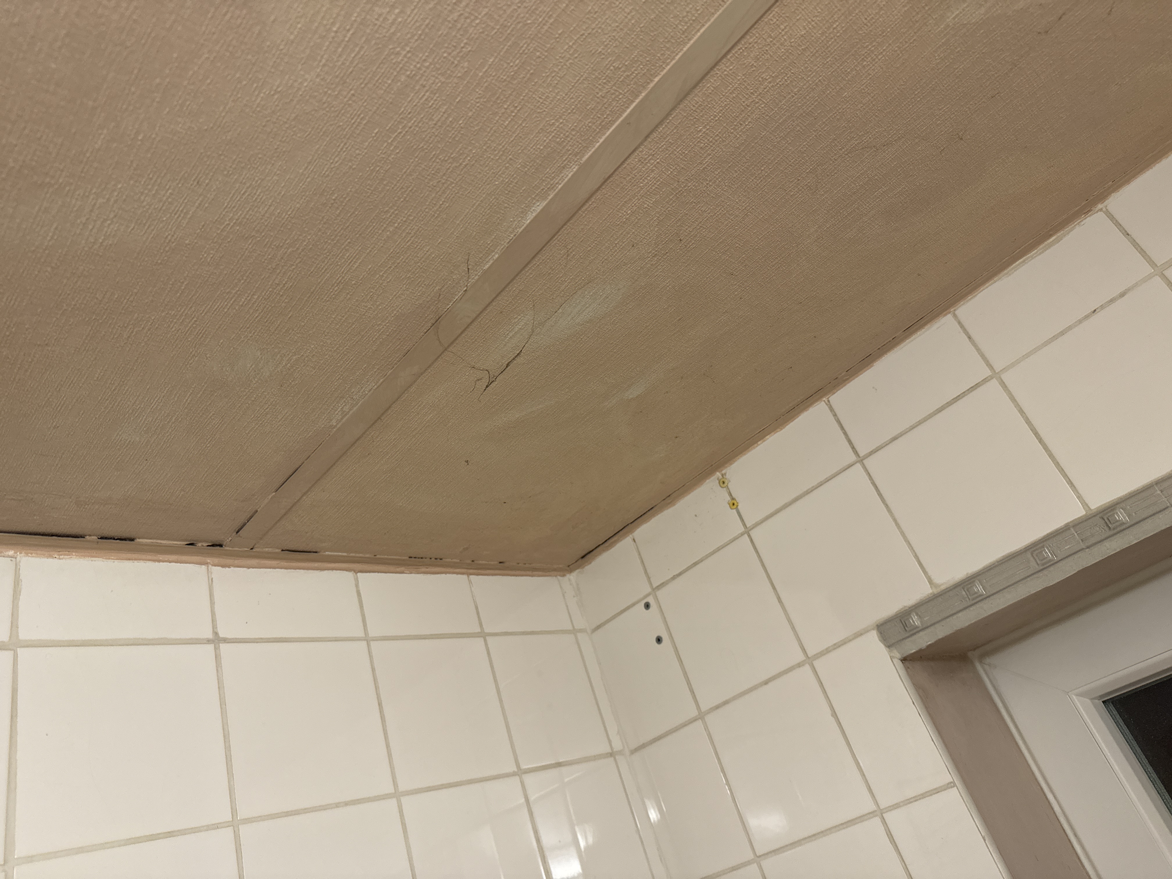 Photo n° 5 de l'avis de Levi.e fait le 30/01/2024 à 23:38