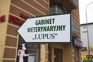 Lupus - Gabinet Weterynaryjny image