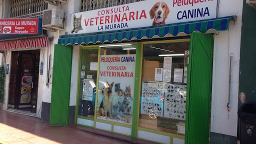 Consulta Veterinaria La Murada en La Murada