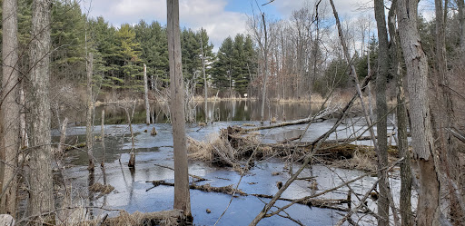 Nature Preserve «Sutherland Nature Sanctuary», reviews and photos, 3998 Diehl Rd, Metamora, MI 48455, USA