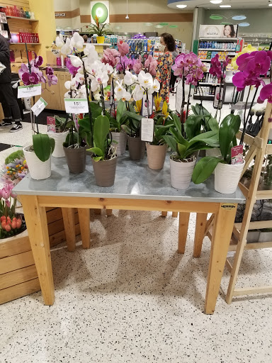 Drug Store «Walgreens», reviews and photos, 1490 Rock Springs Rd, Apopka, FL 32712, USA