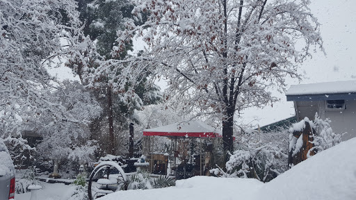 Market «Mt. Mesa Market», reviews and photos, 12324 Mountain Mesa Rd, Lake Isabella, CA 93240, USA