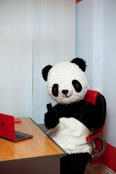 Redpanda.cz Insurance for foreigners