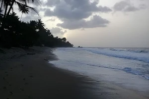 Blanchisseuse Beach Facility image