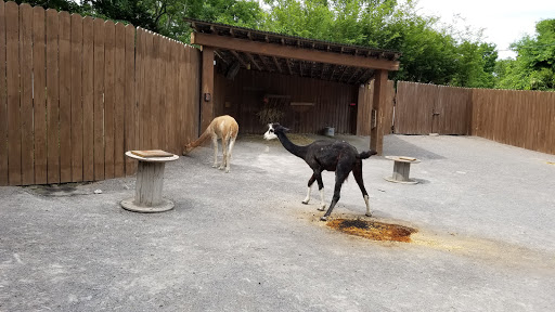 Zoo «Nashville Zoo at Grassmere», reviews and photos, 3777 Nolensville Pike, Nashville, TN 37211, USA