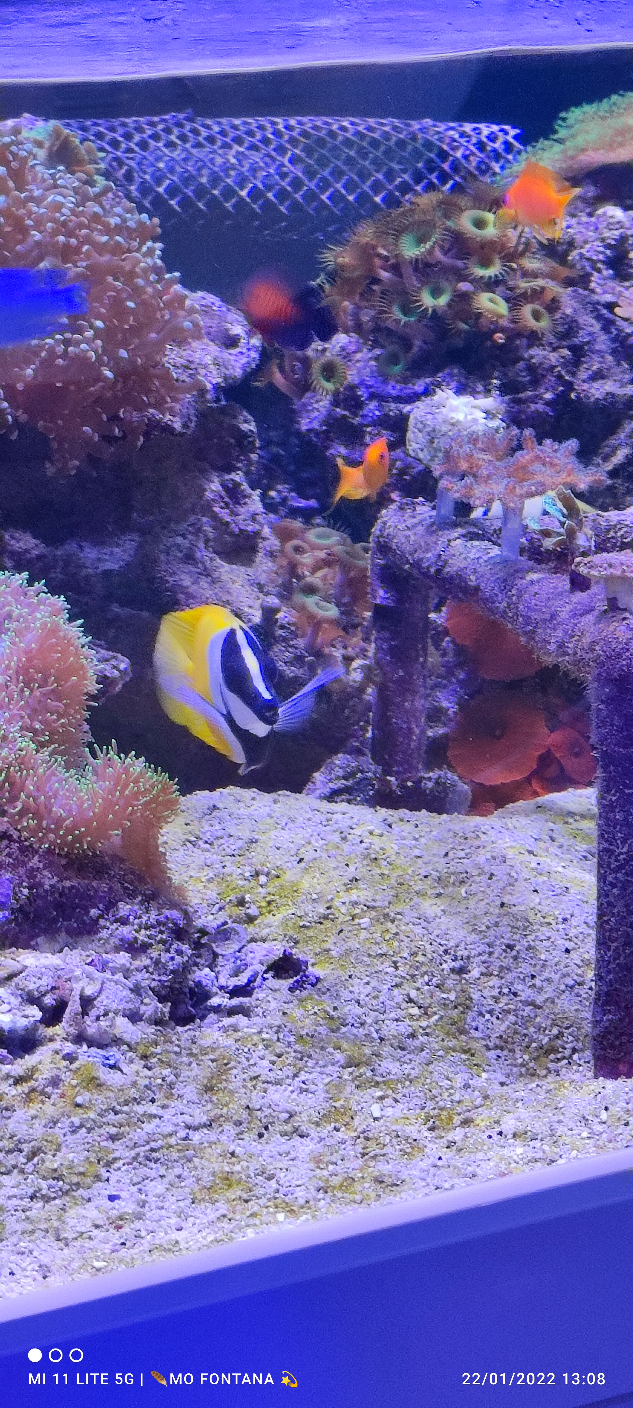 Photo n° 35 de l'avis de monique.O fait le 22/01/2022 à 12:29