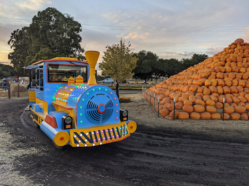 Pumpkin Patch «Spina Farms», reviews and photos, Santa Teresa Blvd, Morgan Hill, CA 95037, USA