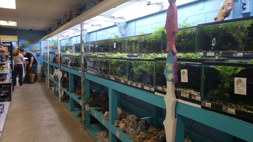 Pet Store «Hendersonville Pet Shop», reviews and photos, 1400 Spartanburg Hwy, Hendersonville, NC 28792, USA