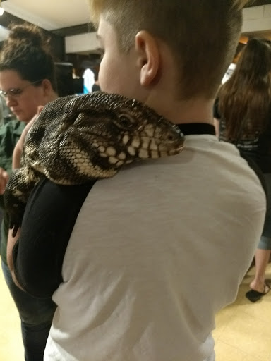 Reptile Store «Cleveland Reptile Show», reviews and photos, 17250 Hummel Rd, Brook Park, OH 44142, USA