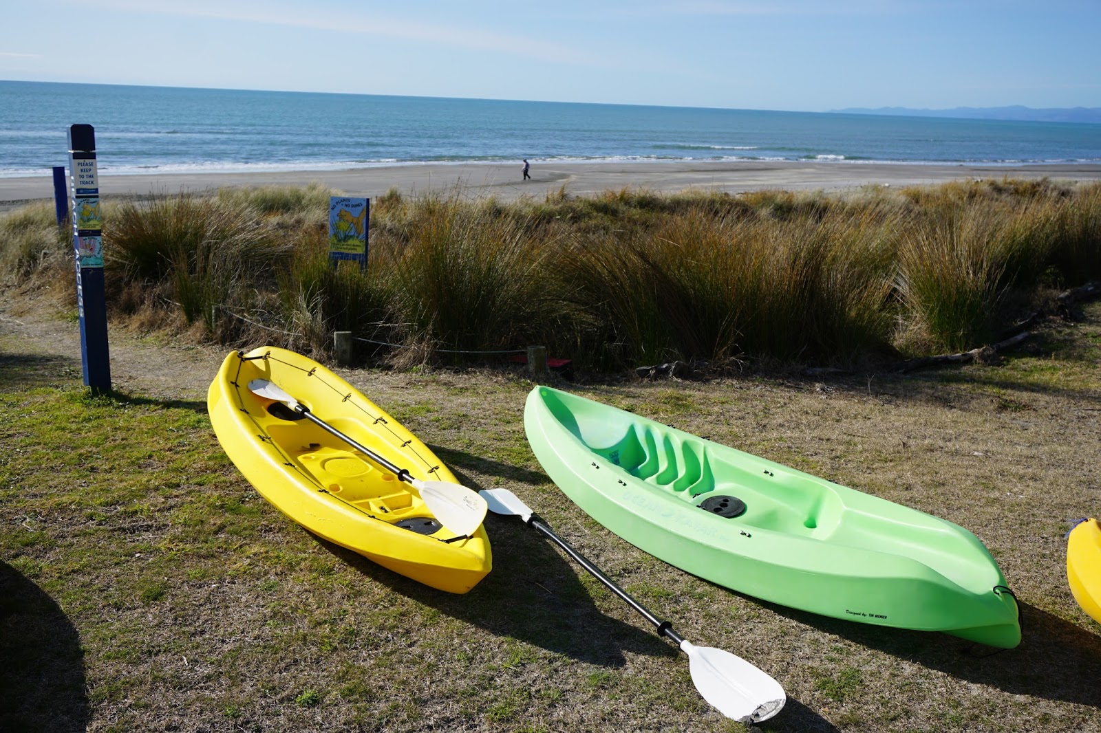 Waiotahe Beach的照片 带有碧绿色纯水表面