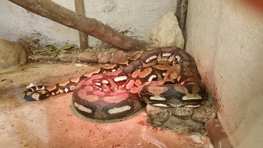 Animal Shelter «Animal Adventures Family Zoo & Rescue Center», reviews and photos, 336 Sugar Rd, Bolton, MA 01740, USA