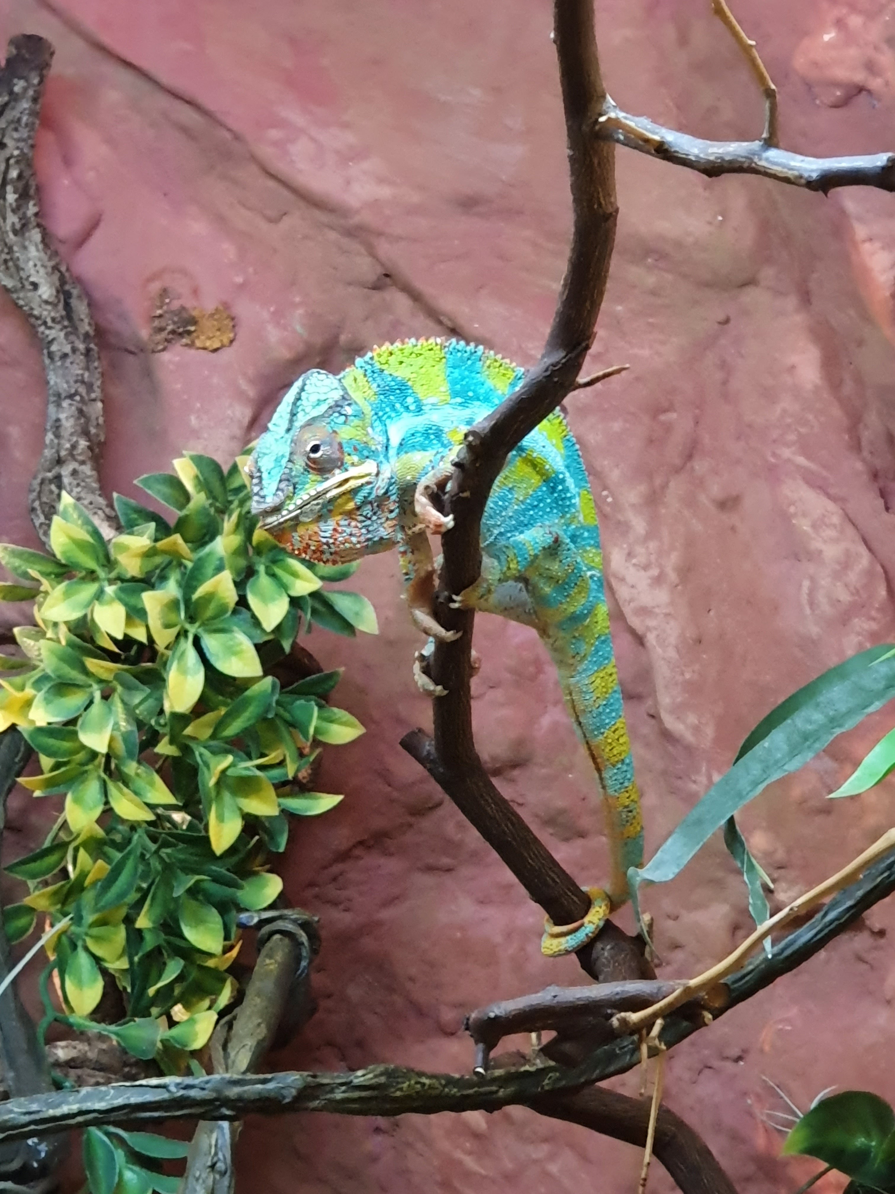 Photo n° 2 de l'avis de Laetitia.o fait le 20/10/2019 à 17:56