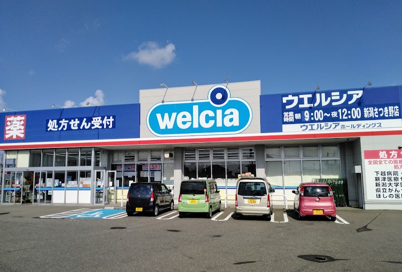 ウエルシア新潟さつき野店