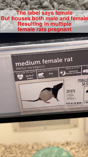 Pet Supply Store «Petco Animal Supplies», reviews and photos, 7303 Pinnacle Pkwy, Covington, LA 70433, USA