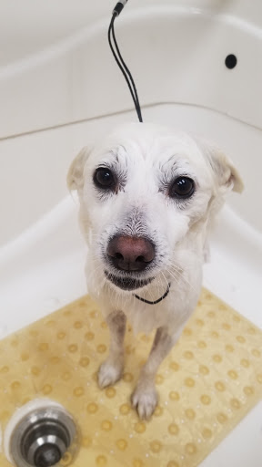 Pet Supply Store «Pet Pantry & Dog Wash», reviews and photos, 5148 Academy Blvd N, Colorado Springs, CO 80918, USA