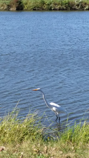 Park «Water Works Park», reviews and photos, 2201 George Flagg Pkwy, Des Moines, IA 50321, USA