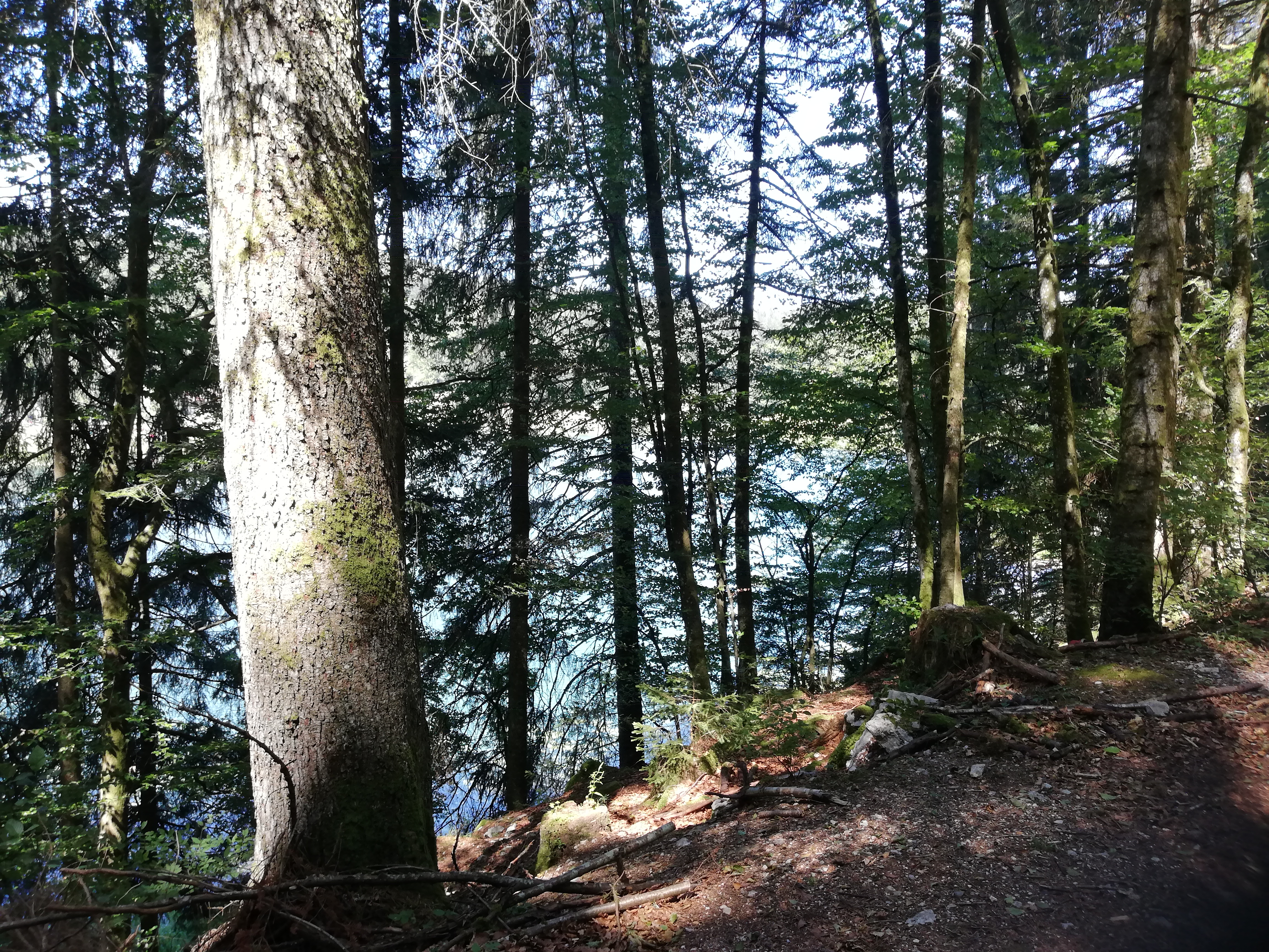 Photo n° 1 de l'avis de pourroy.e fait le 05/08/2019 à 19:20
