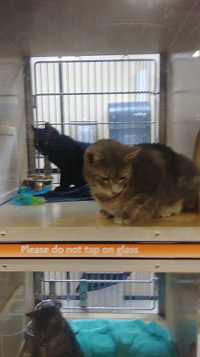 Pet Supply Store «PetSmart», reviews and photos, 2718 Legends Pkwy, Prattville, AL 36066, USA