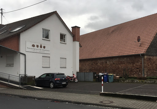 Veterinary practice for small animals unter Gründau, 