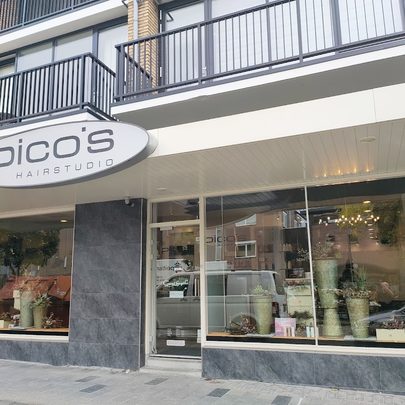Pico’s Hairstudio