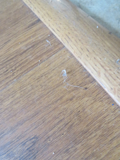 House Cleaning Service «Two Maids & A Mop», reviews and photos, 119 Hollywood Blvd SW #206, Fort Walton Beach, FL 32548, USA