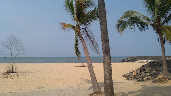 Thattukadavu Beach