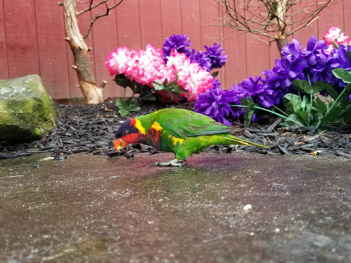 Childrens Farm «Best Long Island Pumpkin Picking», reviews and photos, 250 Old Country Rd, Melville, NY 11747, USA