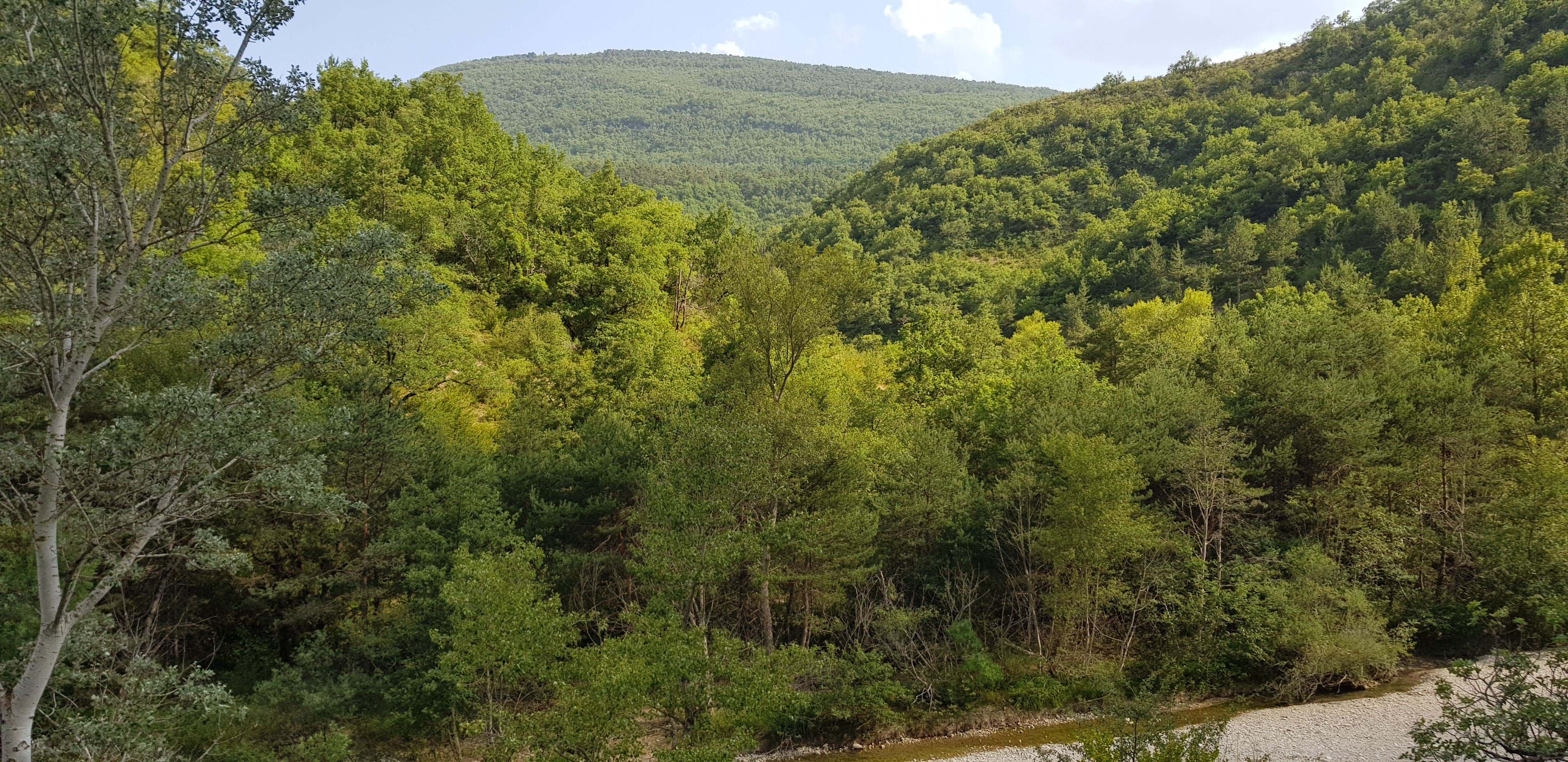 Photo n° 9 de l'avis de Radouane.e fait le 06/07/2019 à 20:52