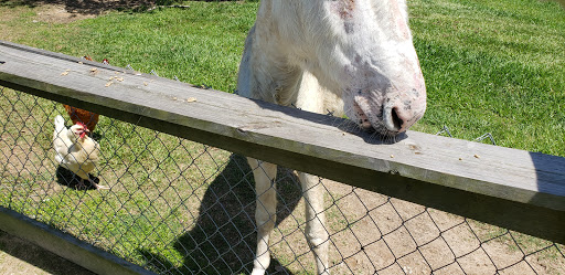 Museum «Galveston Railroad Museum», reviews and photos, 2602 Santa Fe Pl, Galveston, TX 77550, USA