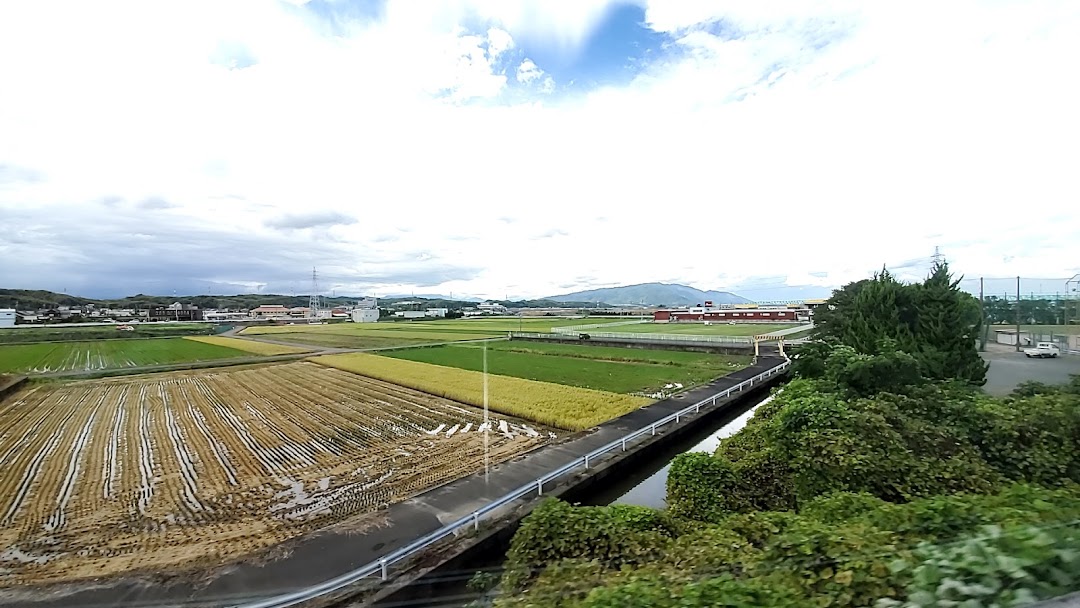 北部野球場