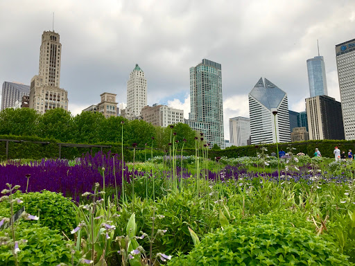 Cultural Center «Chicago Cultural Center», reviews and photos, 78 E Washington St, Chicago, IL 60602, USA