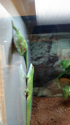 Pet Supply Store «Petco Animal Supplies», reviews and photos, 325 Paul Huff Parkway, Cleveland, TN 37312, USA