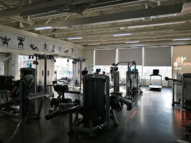 Power Fitness Gym