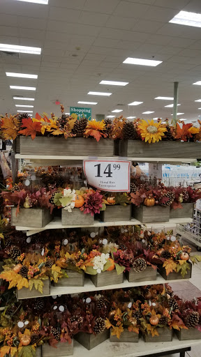 Home Goods Store «Christmas Tree Shops», reviews and photos, 393 N Central Ave, Hartsdale, NY 10530, USA