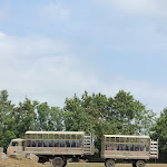 Photo n° 14 de l'avis de Veronique. fait le 02/07/2023 à 08:53 pour Planète Sauvage à Port-Saint-Père