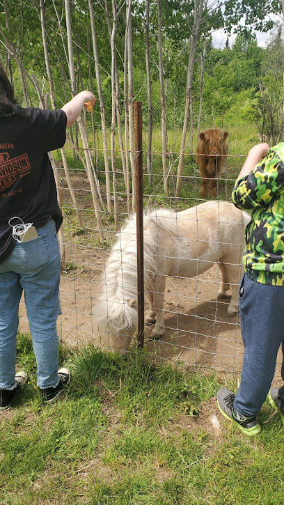 Burrows Farm and Petting Zoo