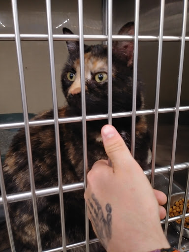 Pet Supply Store «PetSmart», reviews and photos, 248 Westminster Dr, Carlisle, PA 17013, USA