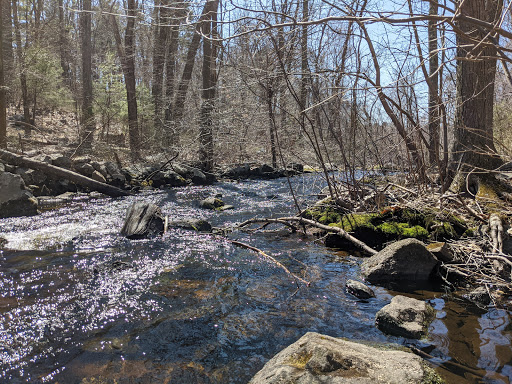 Non-Profit Organization «Museum of American Bird Art at Mass Audubon», reviews and photos, 963 Washington St, Canton, MA 02021, USA