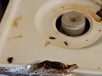 Rojaspestcontrol - Photo 5 - Car repair in , East Los Angeles