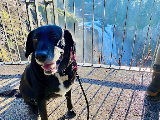 Tourist Attraction «Snoqualmie Falls Lower Observation Deck», reviews and photos, 37451 SE Fish Hatchery Rd, Fall City, WA 98024, USA