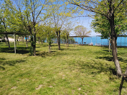 Avaşin Piknik,Kamp ve Çay Bahçesi Alanı