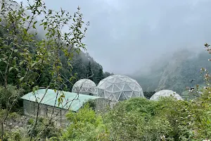 Himalayan Botanical Garden image