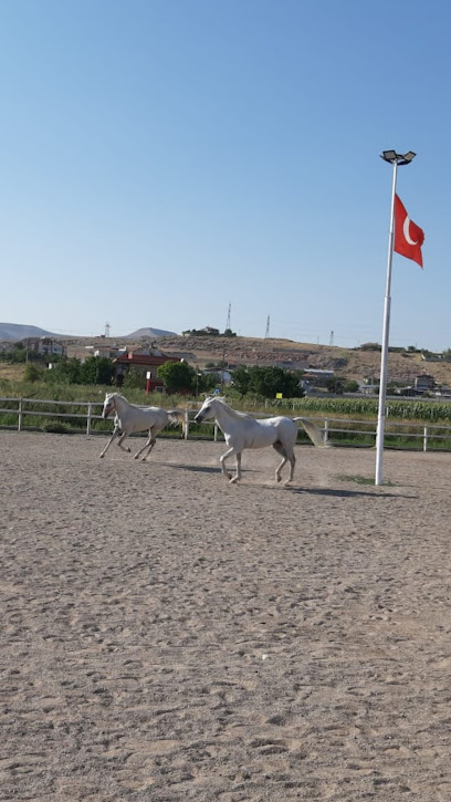 Kayseri Osmanlı At Çiftliği