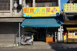 蝦寶水族屋-純種孔雀魚專賣店 image