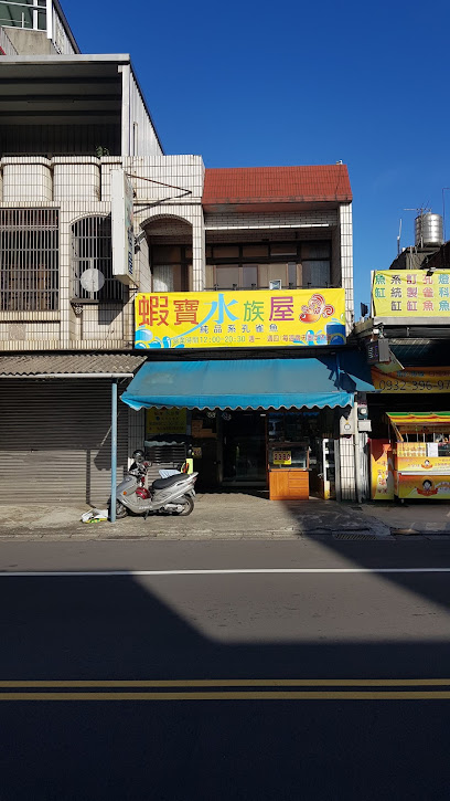 蝦寶水族屋-純種孔雀魚專賣店