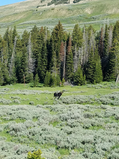 National Forest «Bighorn National Forest», reviews and photos