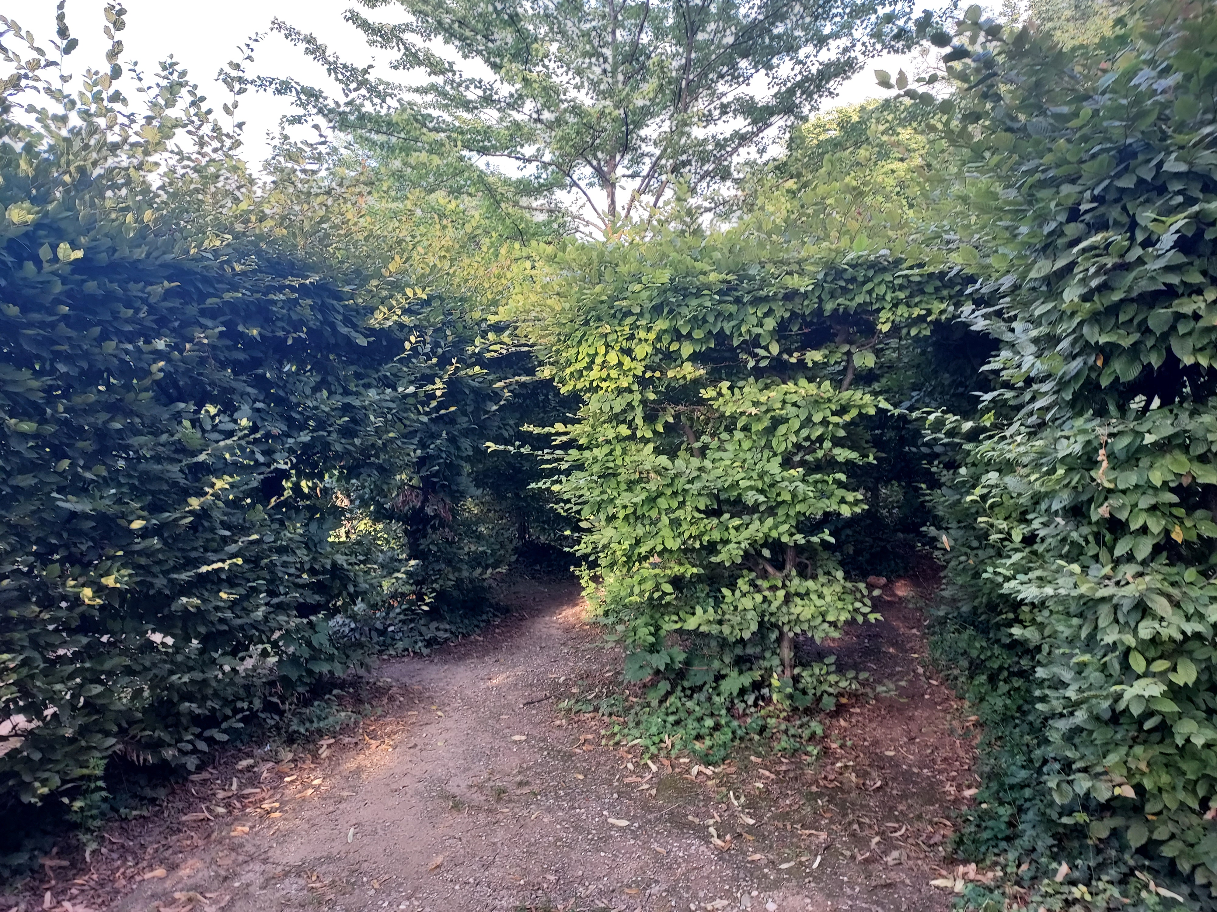 Photo n° 6 de l'avis de Isabelle.a fait le 04/07/2023 à 18:20